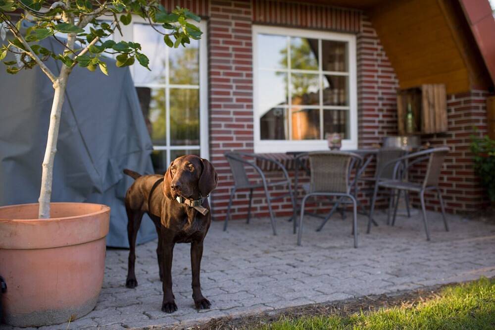 Vacation home Adam (completely renovated) in Zetel, Südliche Nordseeküste