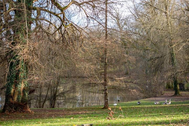 Gîte pour 4 personnes, avec vue ainsi que vue sur le lac et jardin à Cuisery - 2