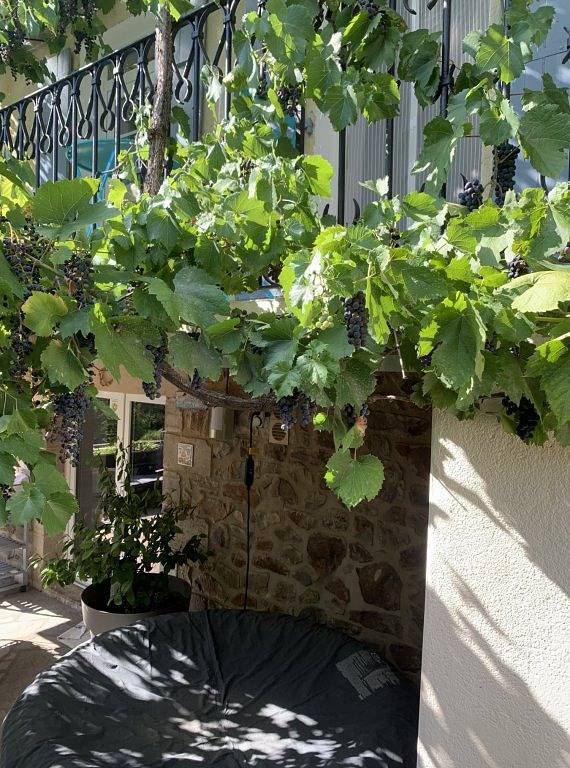 Chambre d’hôte pour 2 personnes, avec terrasse