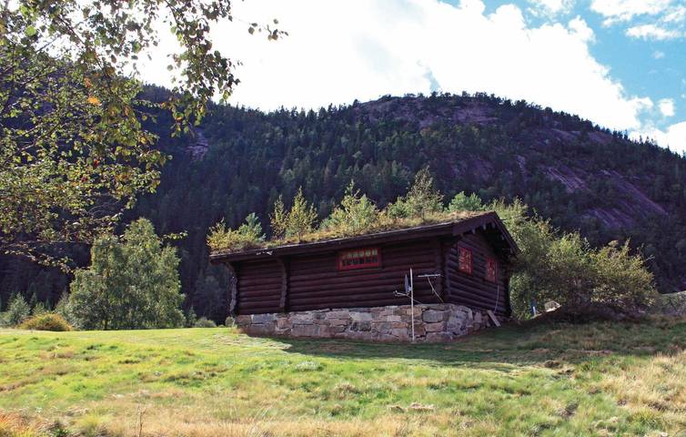 Chalet für 4 Personen, mit Terrasse, mit Haustier in Norwegen - 2