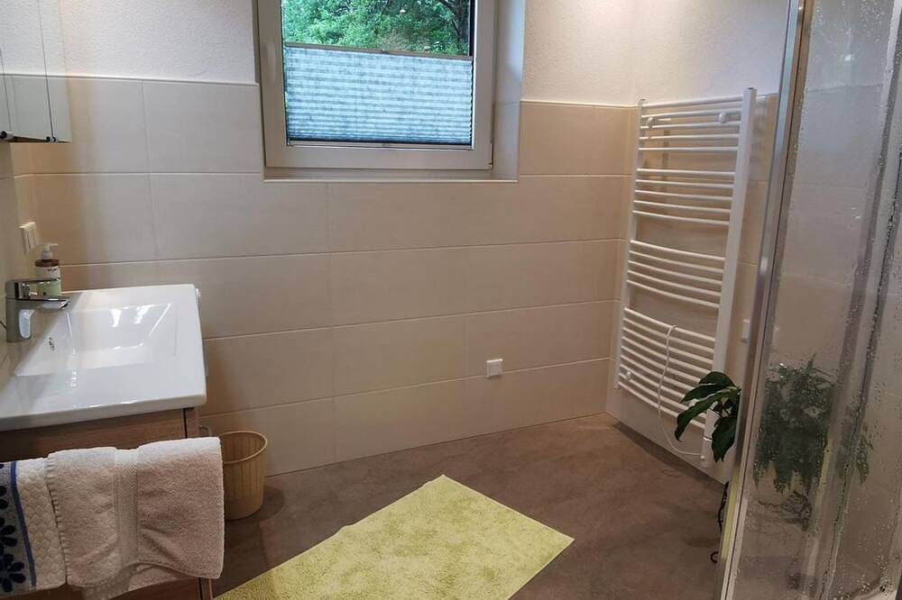 Sandtner, Guesthouse - Apartamento / 2 habitaciones / ducha, Wc in Abtenau, Tennengau