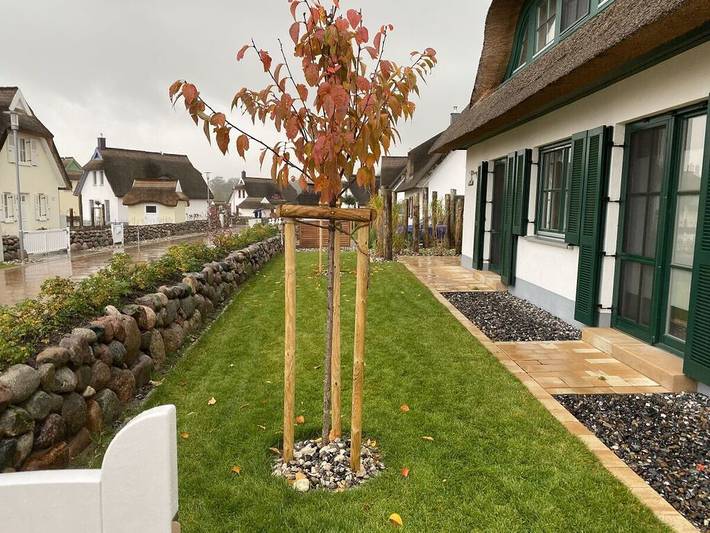 Ferienhaus für 8 Personen, mit Sauna und Garten in Kramerhof - 4