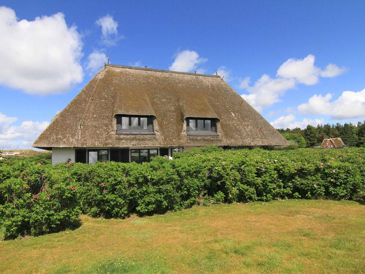 Ganze Ferienwohnung, Haus Passat App. 9 - Gemütliche 1-Zimmer Ferienwohnung unter Reet mit ca. 32 m² für bis zu 2 Personen in Wenningstedt, Sylt