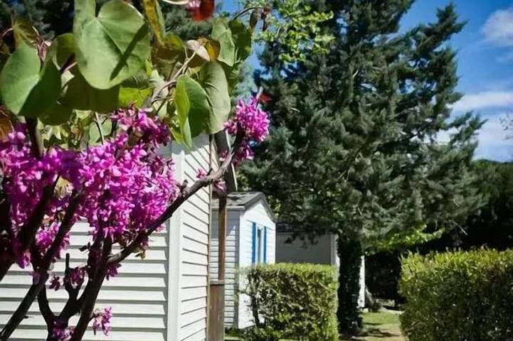 Gîte pour 5 personnes, avec terrasse et piscine à Saint-Jean-Pla-de-Corts - 3