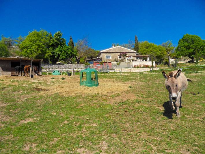 Gîte pour 2 personnes, avec terrasse ainsi que jardin et piscine à Villemus