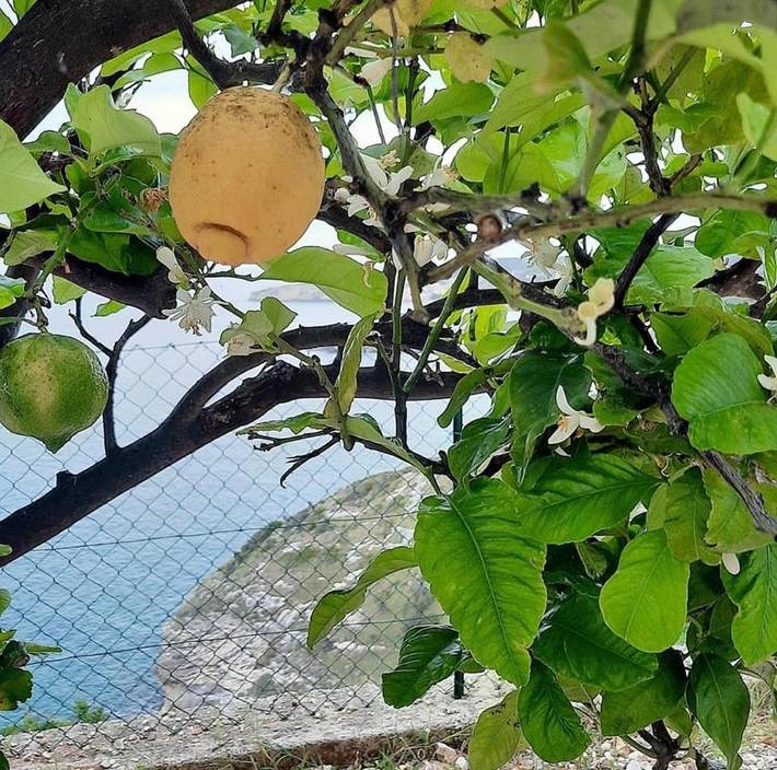 Gîte pour 2 personnes, avec terrasse à Peschici - 3