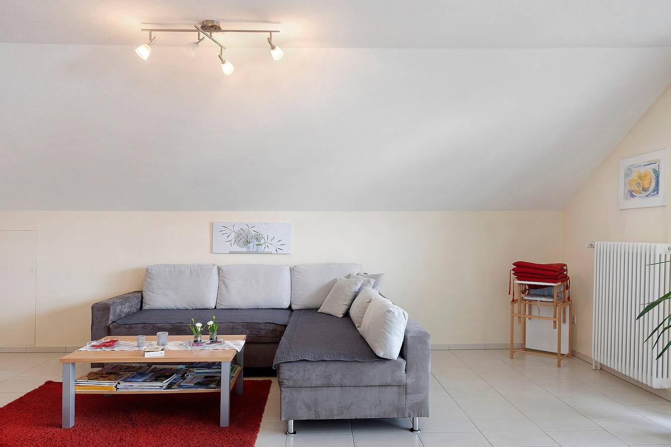 Ganze Wohnung, Ferienwohnung Eva Heinemann mit Bergblick, Balkon und Wlan in Singen, Hegau