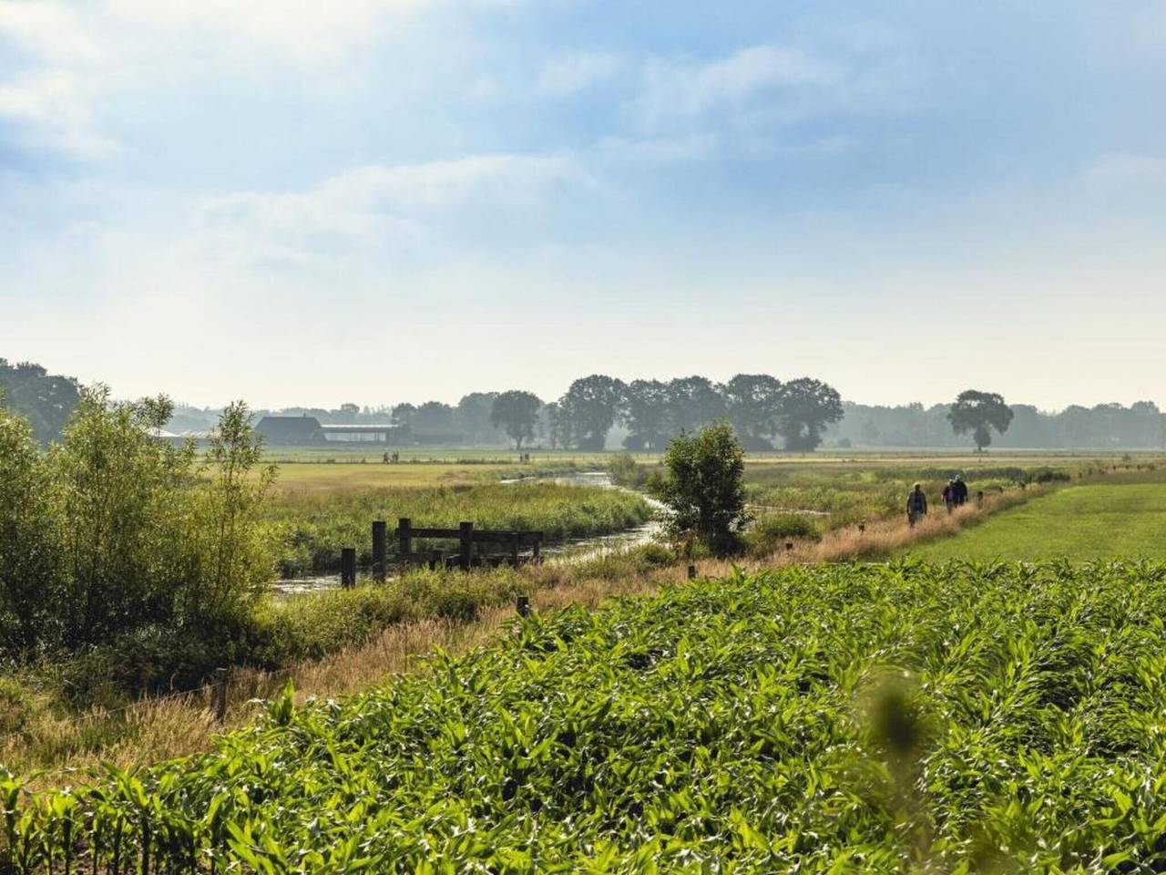 Glamping Tent in Nederland met Pop-Up Sfeer in Sallandse Heuvelrug