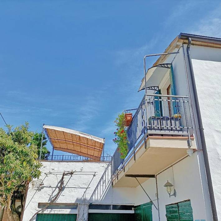 Gîte pour 4 personnes, avec jardin, animaux acceptés à Morciano di Romagna - 3