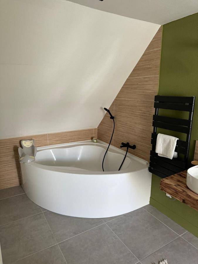 Location de vacances pour 10 personnes, avec vue ainsi que jardin et piscine à Changé - 3