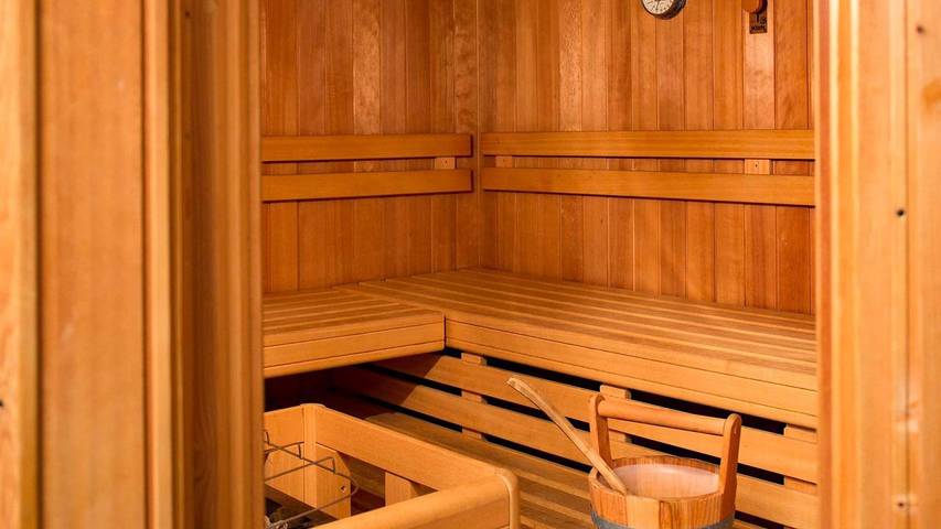 Ferienwohnung für 4 Personen, mit Sauna und Garten, mit Haustier in Radstadt - 2