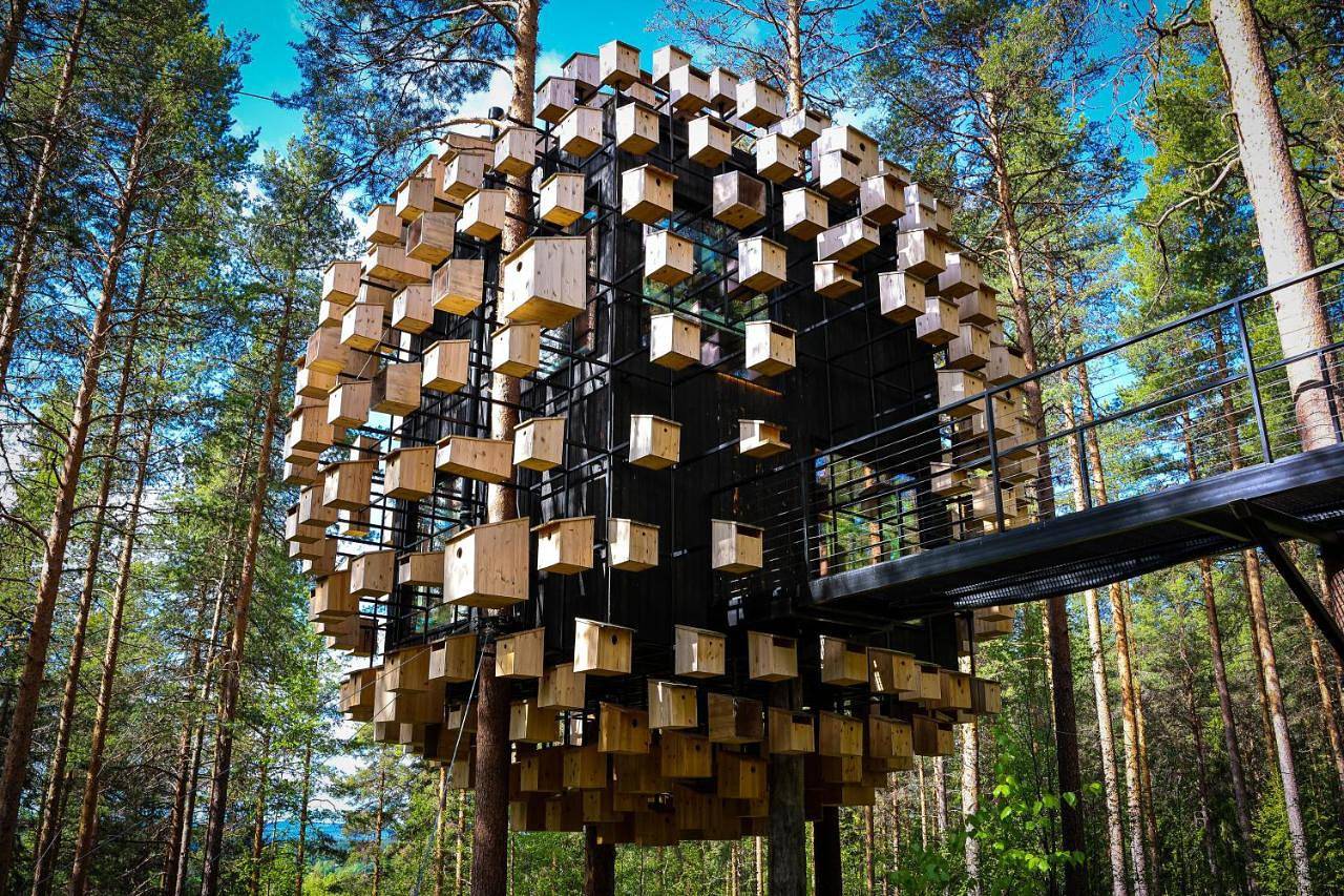 Treehotel in Lappland (Schweden)