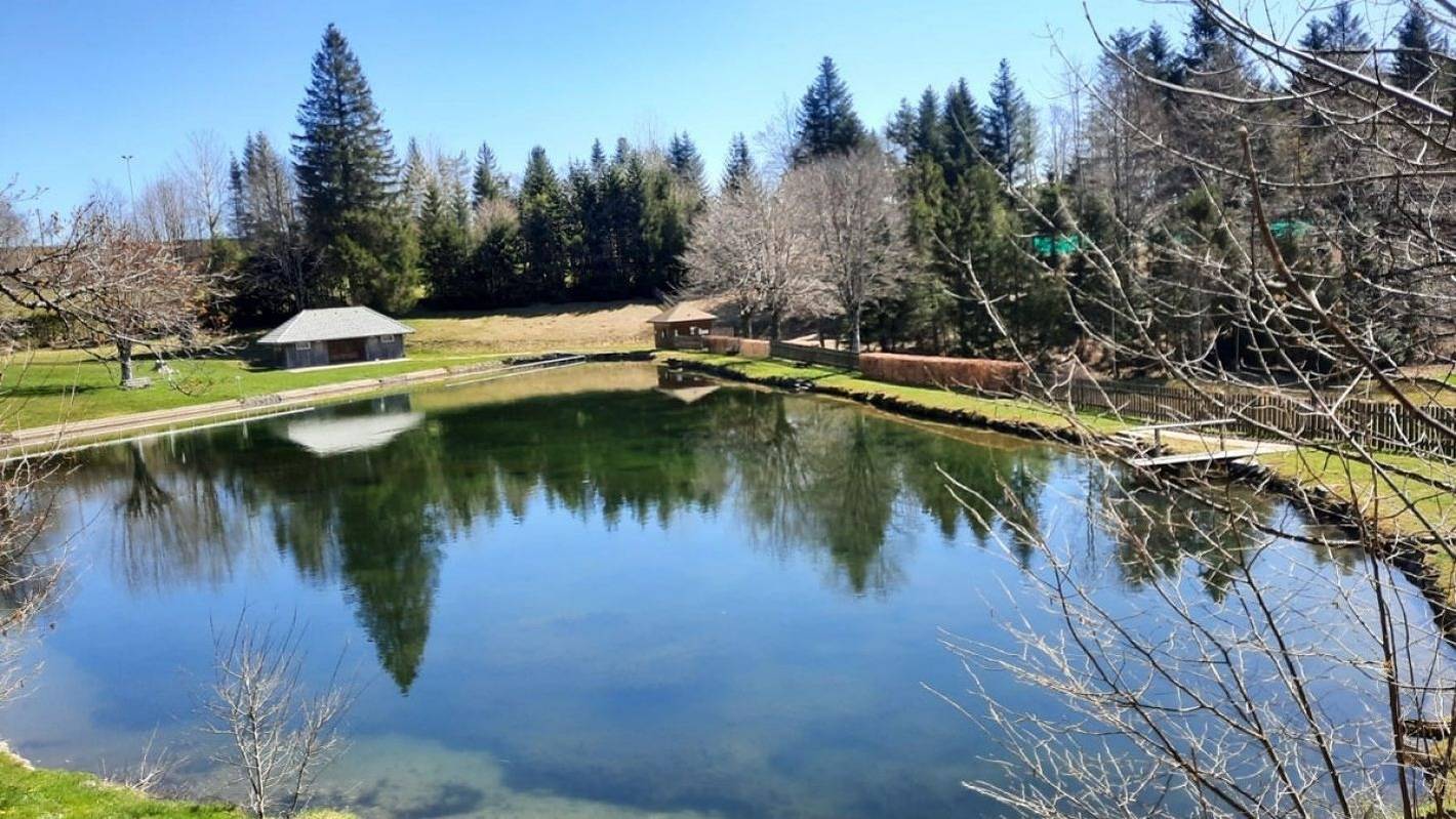 Ganze Ferienwohnung, Appartement Bergsonne in St. Märgen, Südschwarzwald