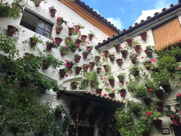 Appartement entier, Aroma de fleur d’oranger, au cœur de San Basilio in Distrito Centro (Córdoba), Cordoba