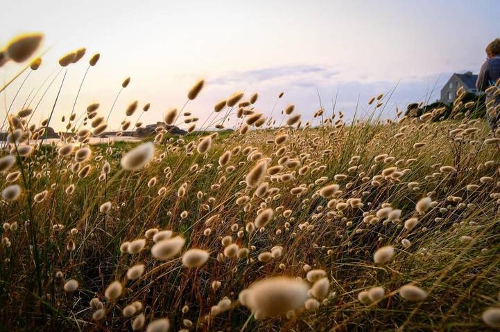 Location de vacances pour 6 personnes, avec vue et jardin dans Plage Pors-Meur - 4
