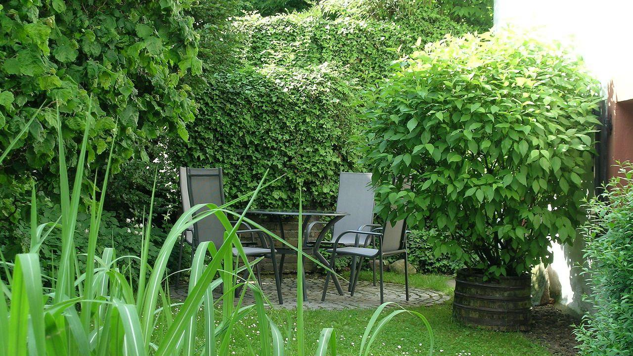 Ferienhaus für 4 Personen (90 m²) in Wirtzfeld in Büllingen, Naturpark Hohes Venn