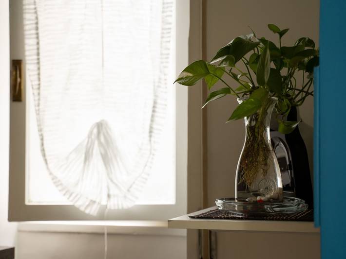 Apartamento entero, Haus Edda in Rapallo (Ciudad), Rapallo