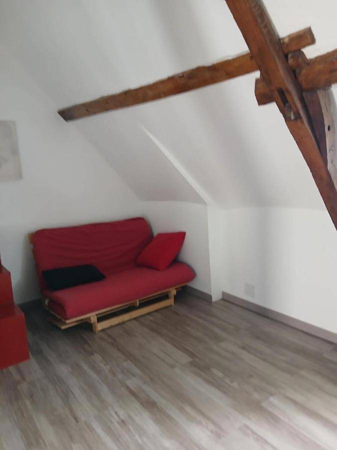 Gîte pour 6 personnes, avec vue et terrasse, animaux acceptés à Palluau-sur-Indre - 4