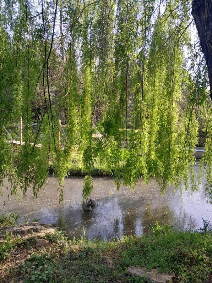 Maison d’hôte pour 4 personnes, avec jacuzzi et jardin à Lorgues - 2