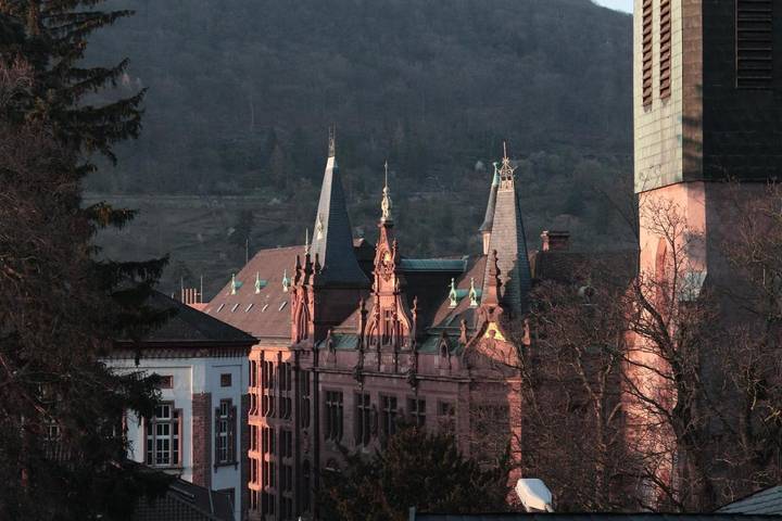 Ferienwohnung für 3 Personen, mit Ausblick in Heidelberg - 3