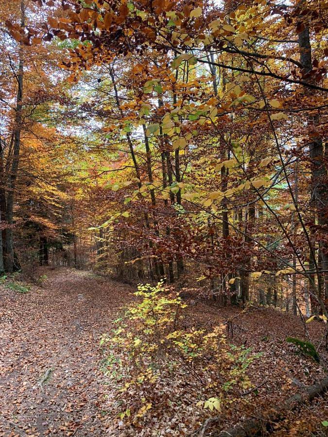 Apartamento de vacaciones para 4 personas, con vistas - 1