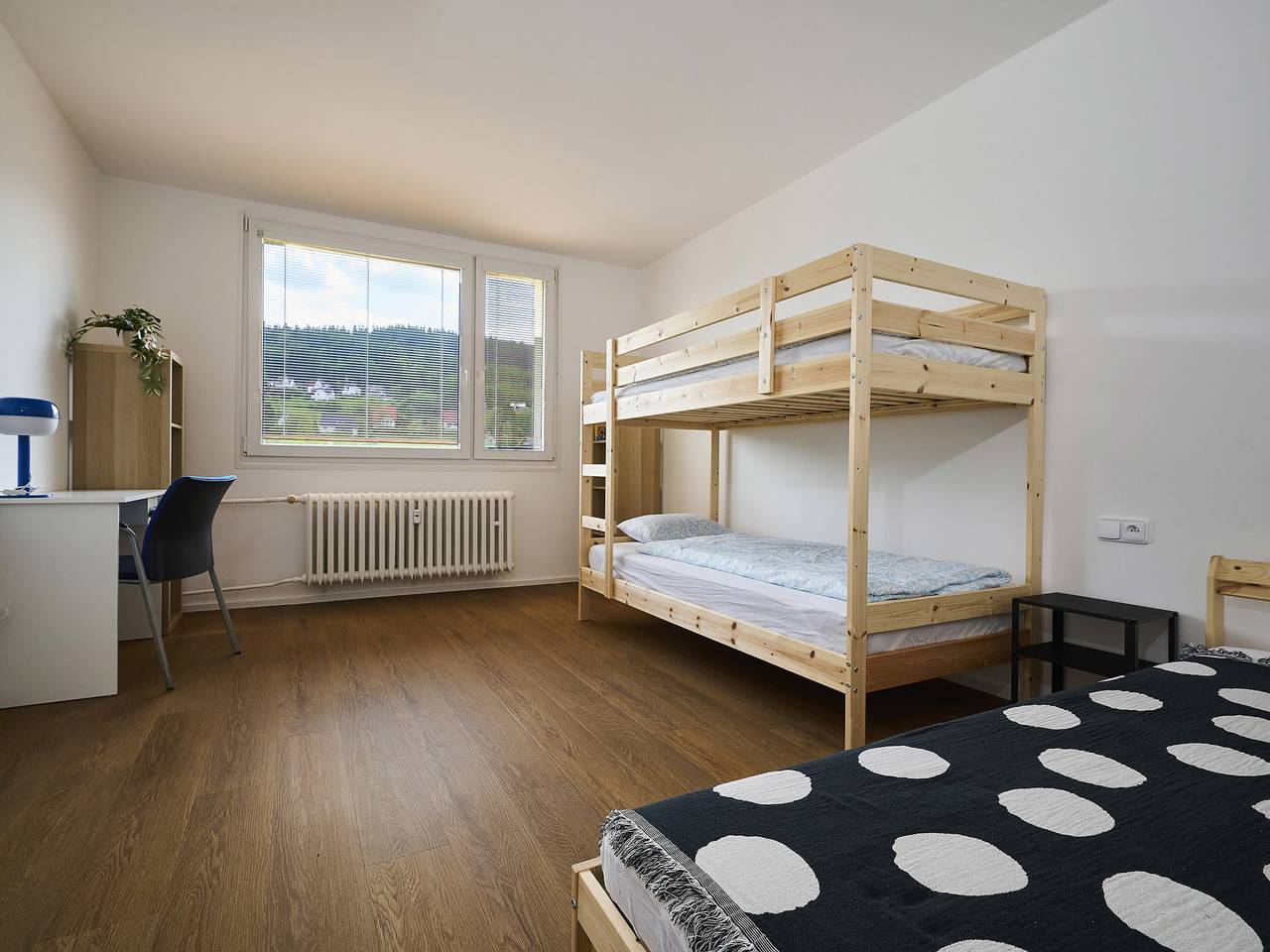 Ganze Wohnung, Forest line in Josefův Důl, Region Liberec