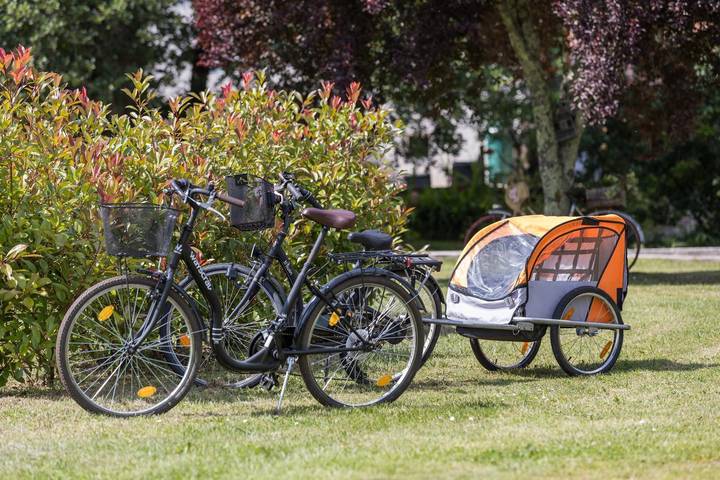 Gîte pour 4 personnes, avec piscine et jardin dans Parc naturel régional des Landes de Gascogne - 4