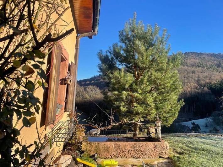 Ferienwohnung für 3 Personen, mit Pool und Ausblick sowie Garten und Seeblick im Elsass - 2