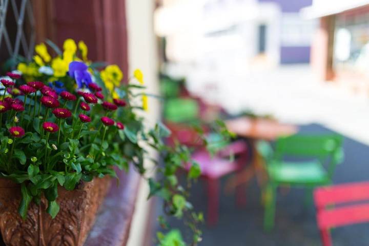 Maison d’hôte pour 3 personnes, avec terrasse, animaux acceptés à Kröv - 3