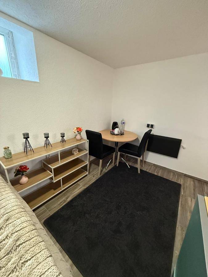 Gîte pour 2 personnes, animaux acceptés à Huningue - 3