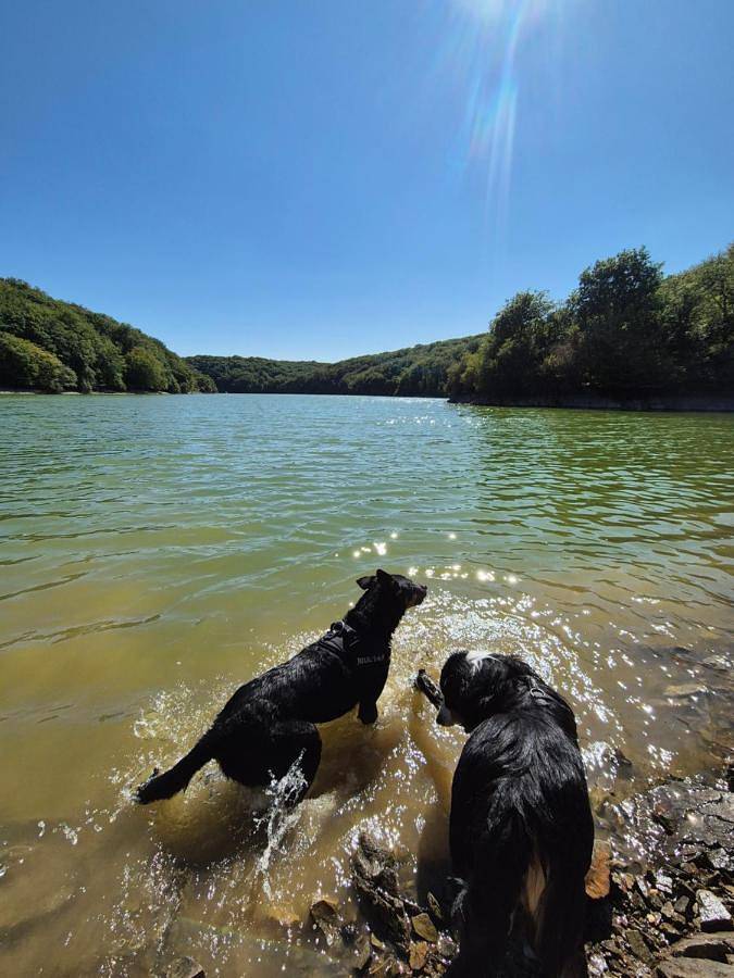 Location de vacances pour 4 personnes, avec jardin à Foussais-Payré - 2