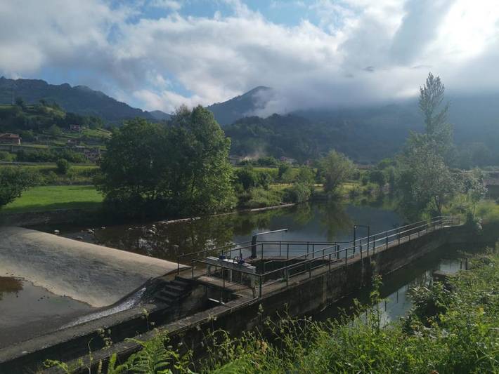 Casa rural para 3 personas, con vistas, Se admiten mascotas en Nalón - 4