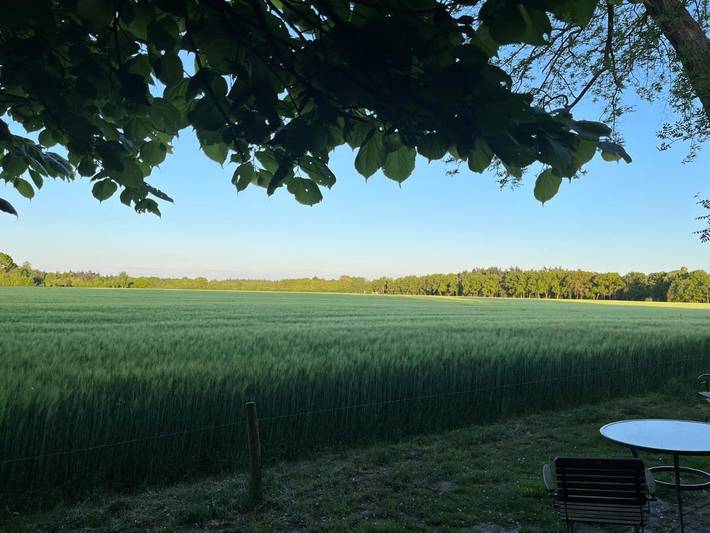 Gîte pour 4 personnes, avec vue et jardin, animaux acceptés dans Arriën - 2
