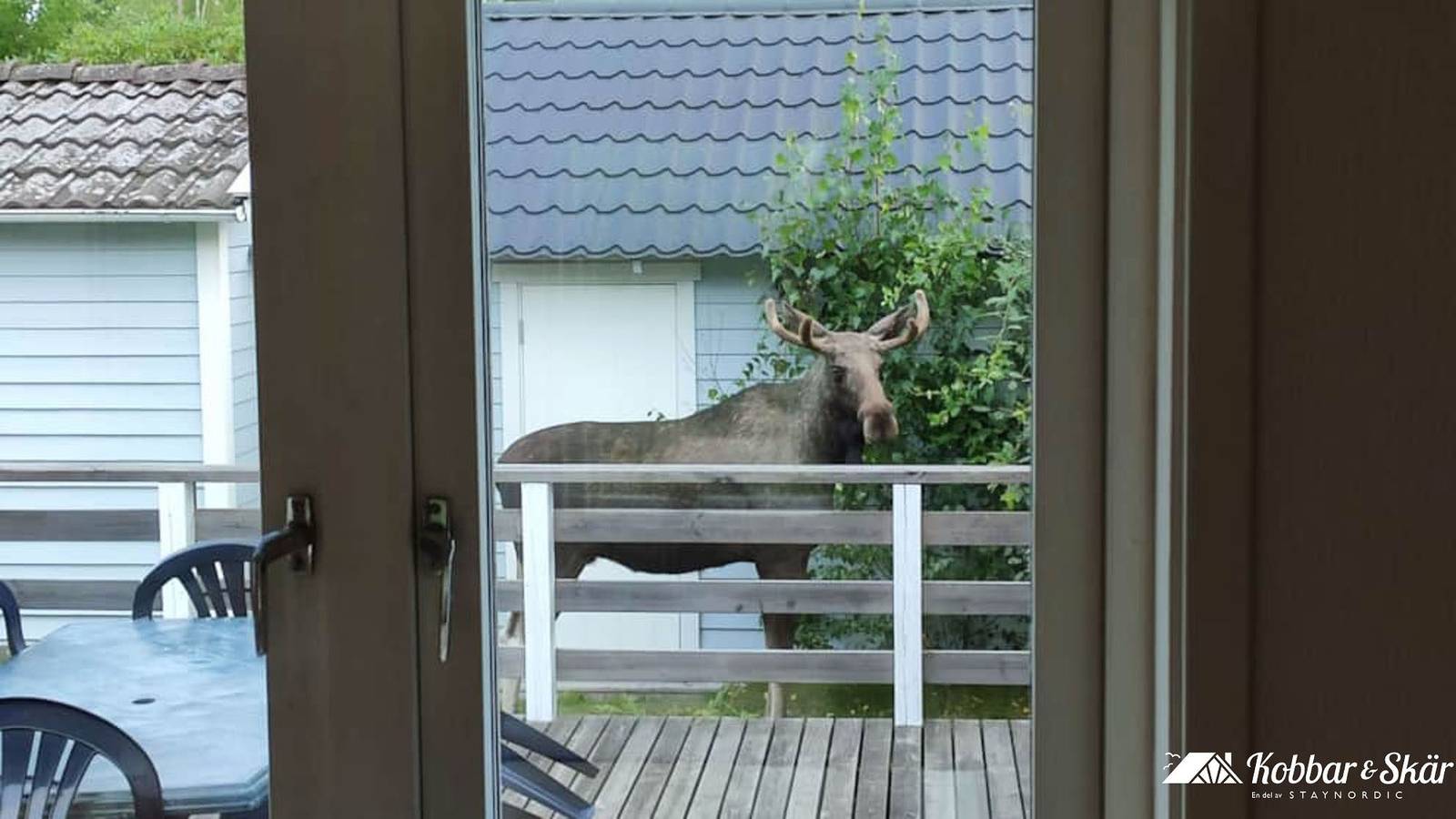 Se09163 in Svanesund, Orust