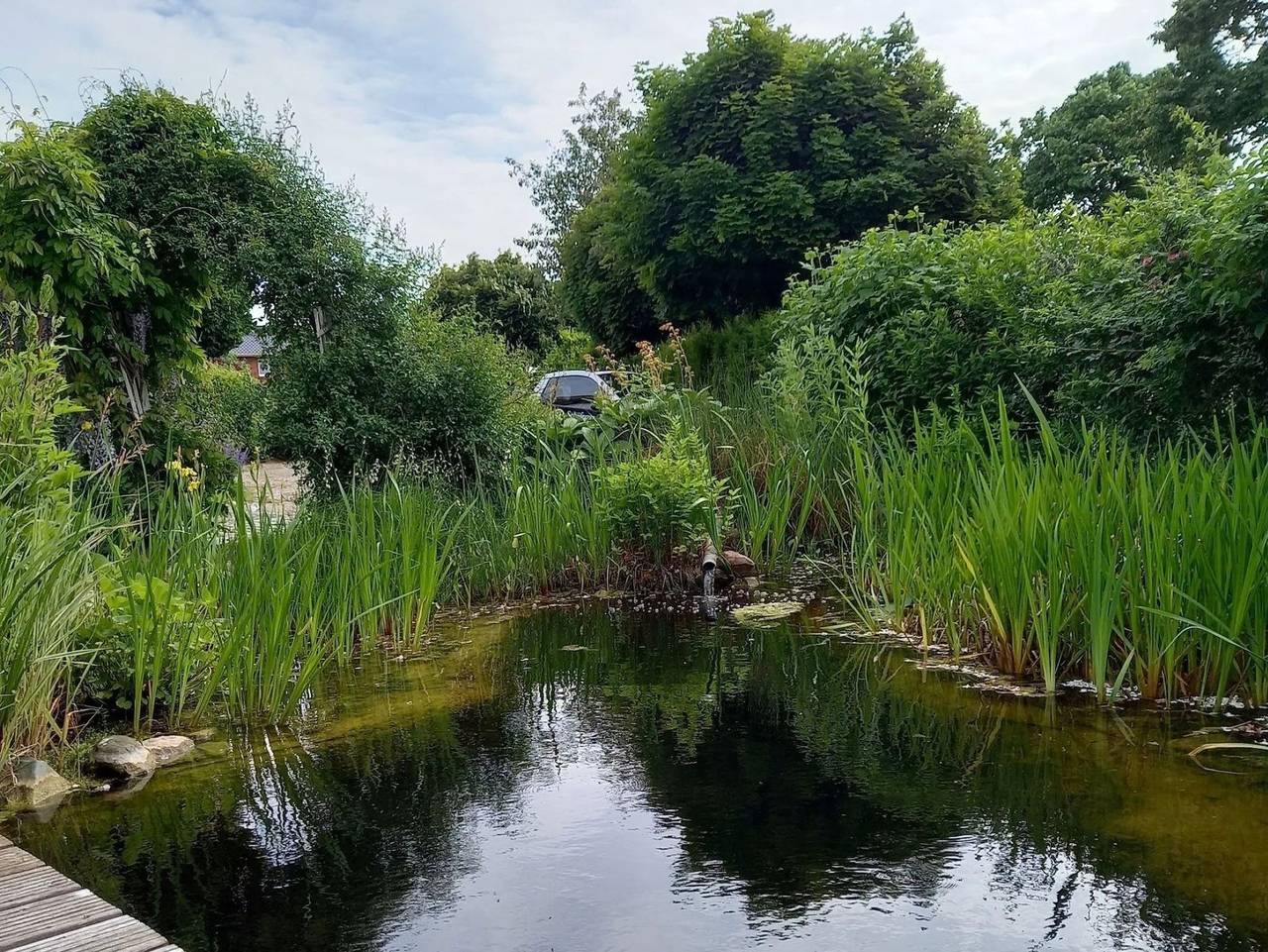 Ferienidyll Niesgrau in Niesgrau, Schleswig-Flensburg