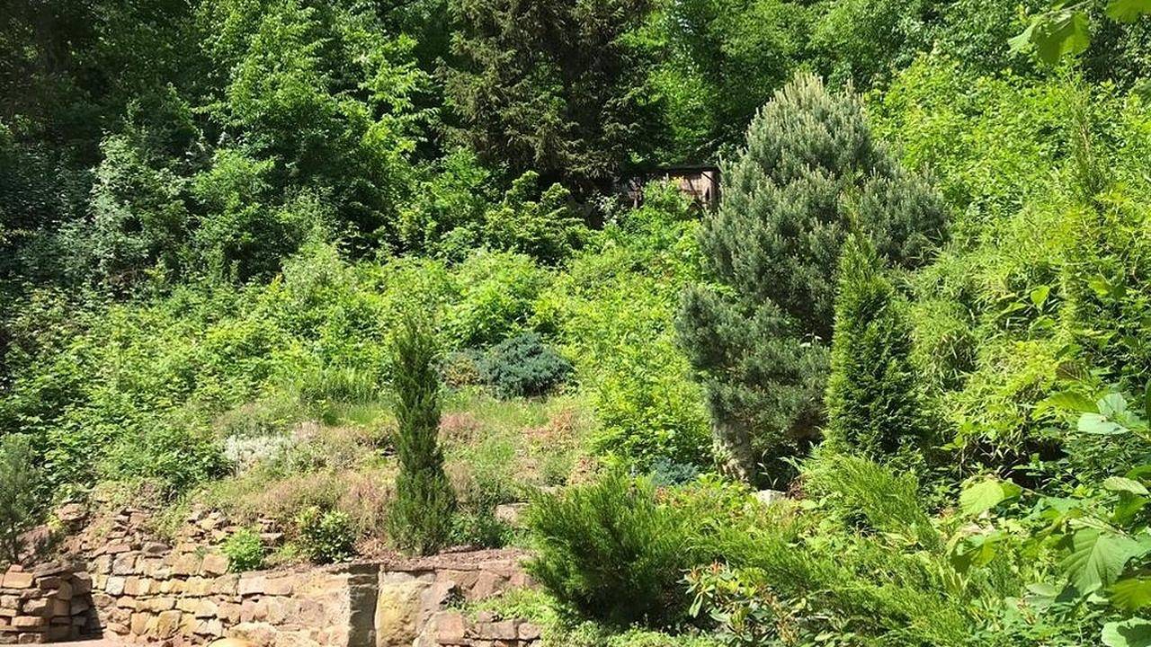 Ferienhaus für 9 Personen (75 m²) in Melsungen in Melsungen, Schwalm-Eder-Kreis