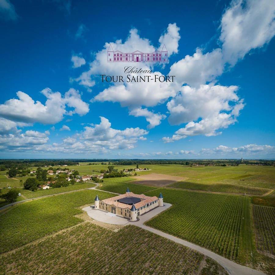 Château Tour Saint-Fort Chambre d'hôtes in Saint-Estèphe, Région de Lesparre-Médoc