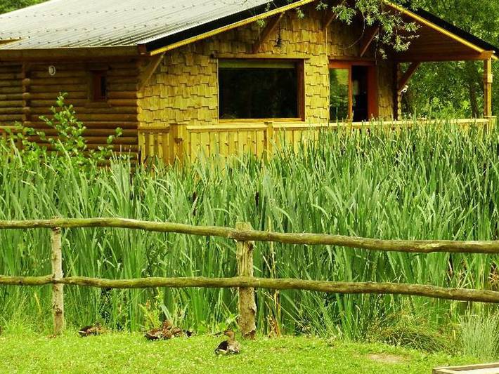 Chalet pour 2 personnes, avec terrasse, animaux acceptés dans l' Aisne - 2