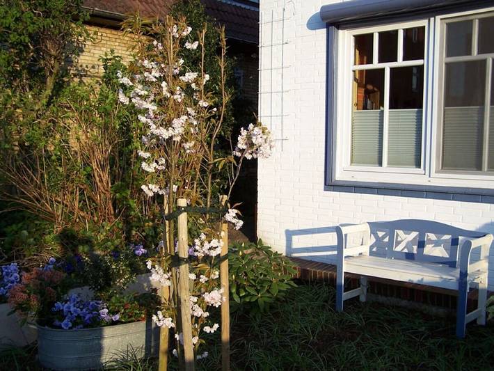 Ferienhaus in Husum mit Schwimmbecken in Husum Hafen, Husum