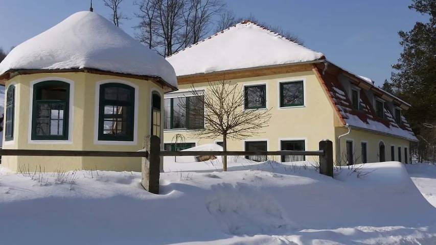 Ferienhaus für 4 Personen, mit Terrasse und Sauna, mit Haustier - 1