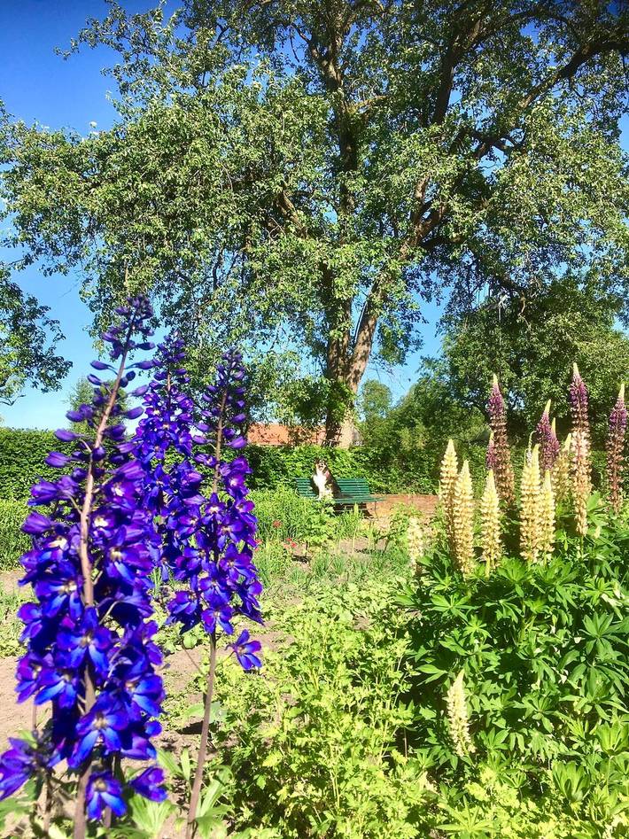 Ferienhaus für 4 Personen, mit Terrasse und Garten, kinderfreundlich im Münsterland - 3