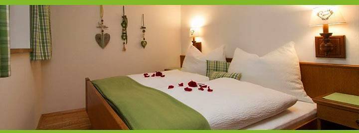 Ganze Ferienwohnung, Fw Reifhornblick, Appartement/Fewo, Dusche, Wc, 2 in Lofer, Pinzgau