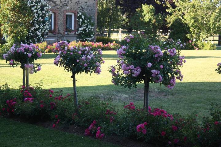 Location de vacances pour 6 personnes, avec jardin et piscine, adapté aux familles à La Jaille-Yvon - 3