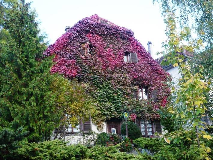 Chambre d’hôte pour 2 personnes, avec Terrasse et Jardin à Leymen