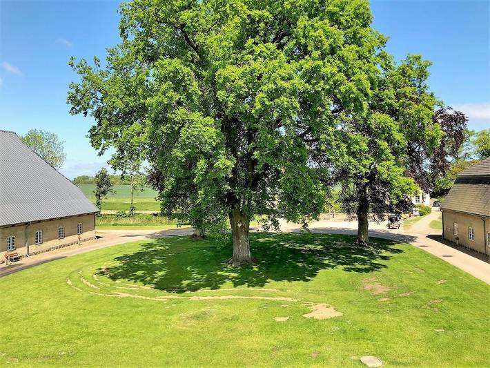 Ferienhaus für 4 Personen, mit Whirlpool und Sauna sowie Garten in Steinberg - 2