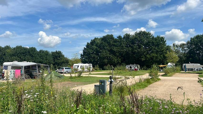 Bungalow für 6 Personen am Veluwemeer - 3