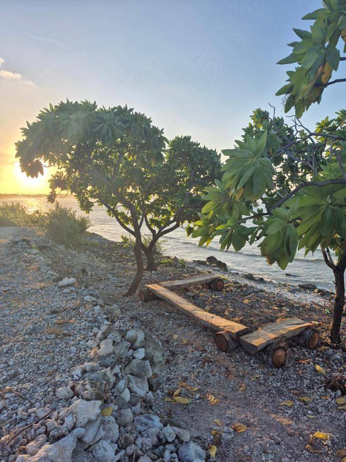 Gîte pour 3 personnes, avec vue et balcon dans Rangiroa - 2