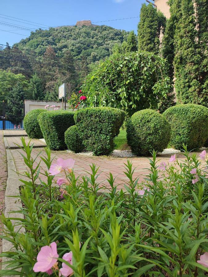 Gîte pour 3 personnes, avec jardin et vue dans Deva (Roumanie) - 2