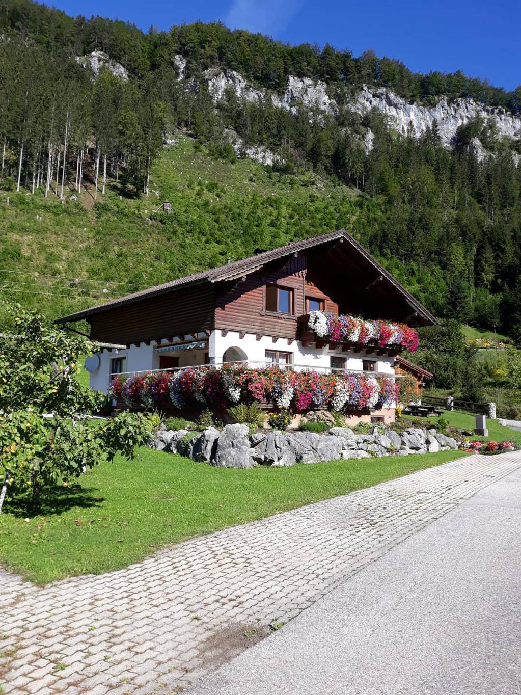 Ganze Ferienwohnung, Ferienwohnung Stiegengraben - Ferienwohnung Stiegengraben mit Bergblick auf die Ybbstaler Alpen in Göstling an der Ybbs, Bezirk Scheibbs