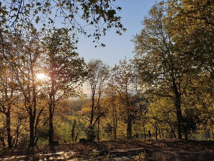 Casa rural para 4 personas, con vistas y piscina además de jardín y sauna, Se admiten mascotas en Penafiel - 3